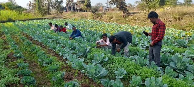 Students at Gujarat Bible Training Center plan and tend their own vegetable garden to save substantially on food expenses in an inflated economy.